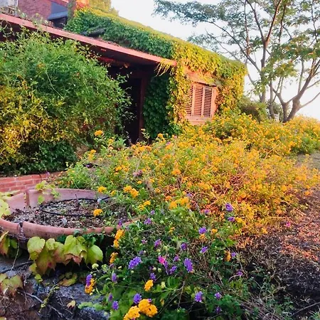 Cottage *